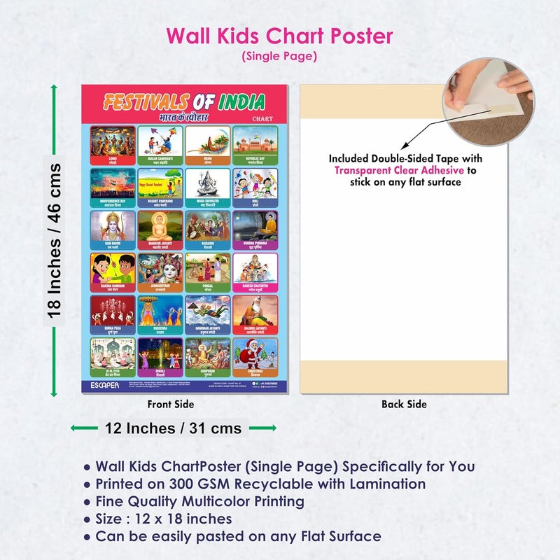 ESCAPER Festival of India Educational Charts for Kids Learning (11.5 x 17.5 inches), Study Material, Learning Books, Posters - Image 3
