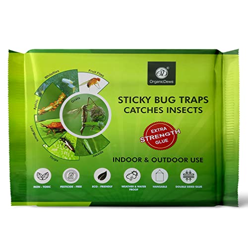 OrganicDews Yellow Double Sided Sticky Glue Bug Trap (8X6 Inches - 25 Traps) with Twist Tie - Flying Insects, Gnats, Thrips, Fruit Flies - Indoor and Outdoor (Pack of 25 Traps) - Image 1