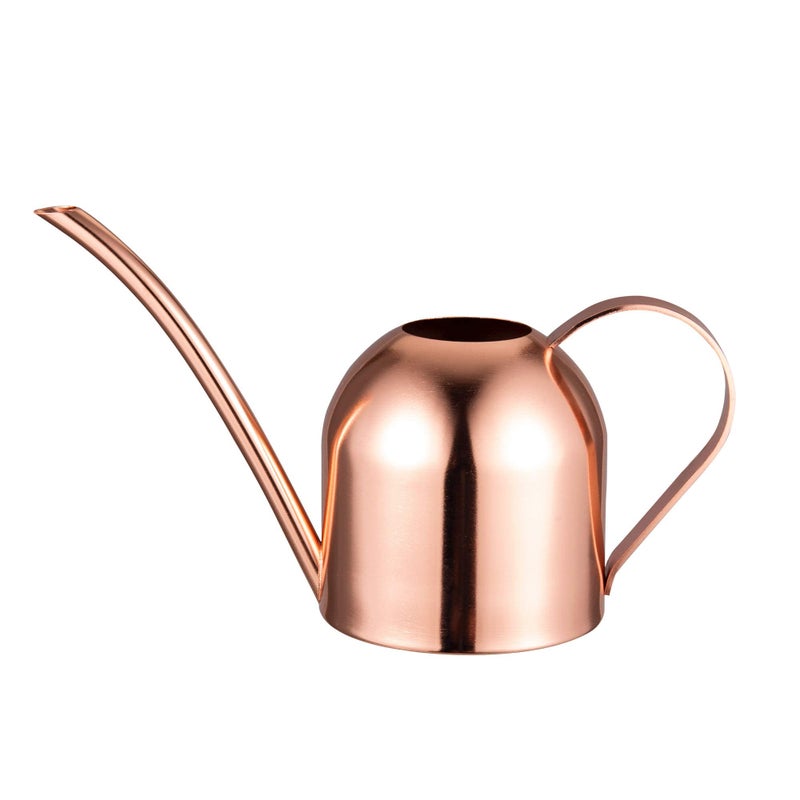 IMEEA Small Watering Can for Indoor Plants Stainless Steel Indoor Watering Can with Long Spout 15oz450ml