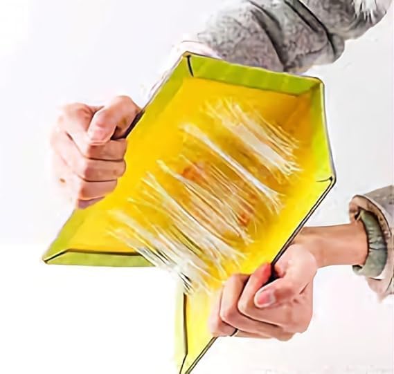 Flere Sticky Insect Trap (Yellow, 6.5 x 8 Inch, Large Size) - Pack of 1 Design May Different - Image 1