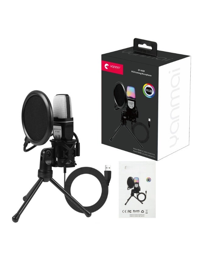 EBMINI New Professional Home KTV Singing Recording Home Karaoke Microphone