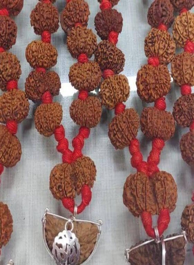 Maalavya Original Real Rudraksha Beads (1 to 14 Mukhi)
