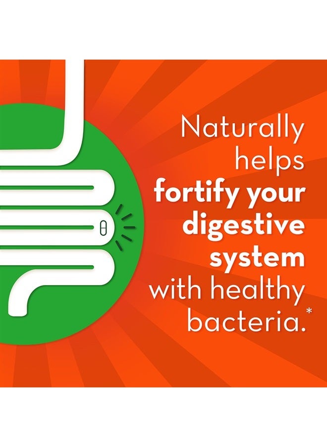 Align Gut Health & Immunity Probiotic, Daily Digestive Support for Women and Men, Helps Support Immune and Digestive Health, 28 Capsules - Image 4