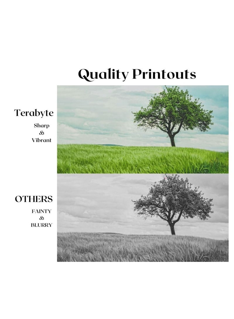 Terabyte CLT503L MAGENTA  COMPATIBLE TONER TERABYTE - Image 2