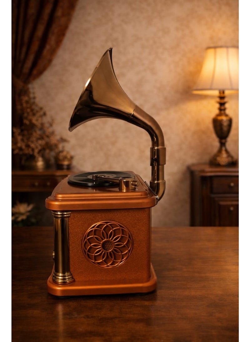Antique Decorative Gramophone For Home Décor – Classic Audio Experience With Bluetooth & Radio, Designed For Distinctive Taste - Image 2