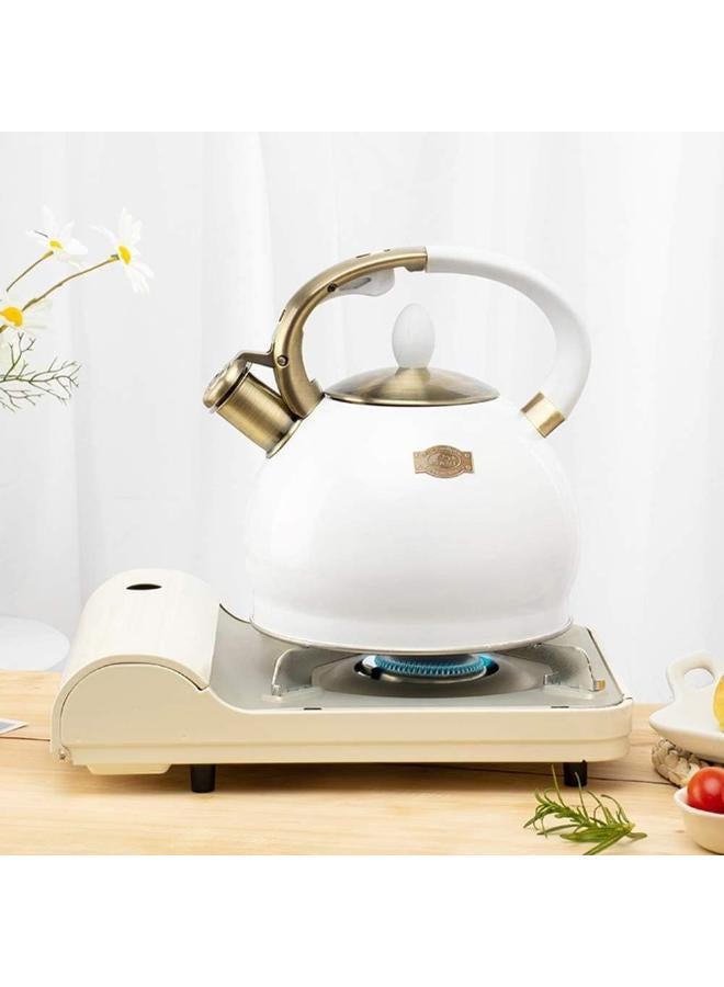 Surgical Stainless Steel Tea Kettle with Ergonomic Handle and Cool Touch, Includes Free Silicone Pressure Glove, 2.64 Quart Capacity  - Image 1