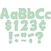 Teacher Created Resources Mint Green Funtastic 4 Letters Combo Pack TCR8598 - Image 3