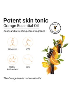 Keya Seth Aromatherapy Orange Facewash SLS Free Mild Foaming 100ml - pzsku/Z0A79840275A91D402F49Z/45/_/1700556912/1a430d7b-df63-435c-a794-cf46148930c6