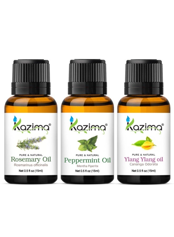 KAZIMA Combo of Rosemary Oil, Peppermint Oil & Ylang Ylang Oil - 100% Pure, Natural & Undiluted Essential Oil for Hair Growth, Skin Moisturizing, Acne, Dandruff & Joints Pain, (Pack of 3) 15 ml Each - Image 1