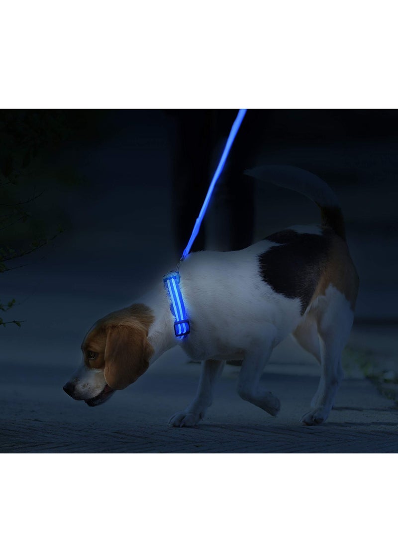 USB Rechargeable Flashing Pet Leash Blue Large - Image 3