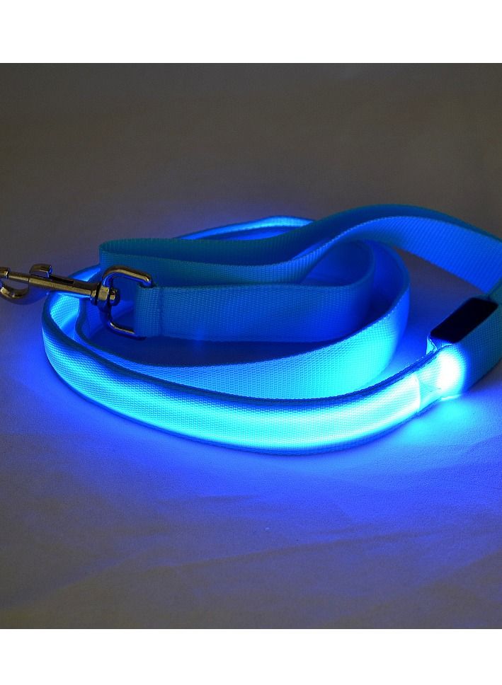 USB Rechargeable Flashing Pet Leash Blue Large - Image 2