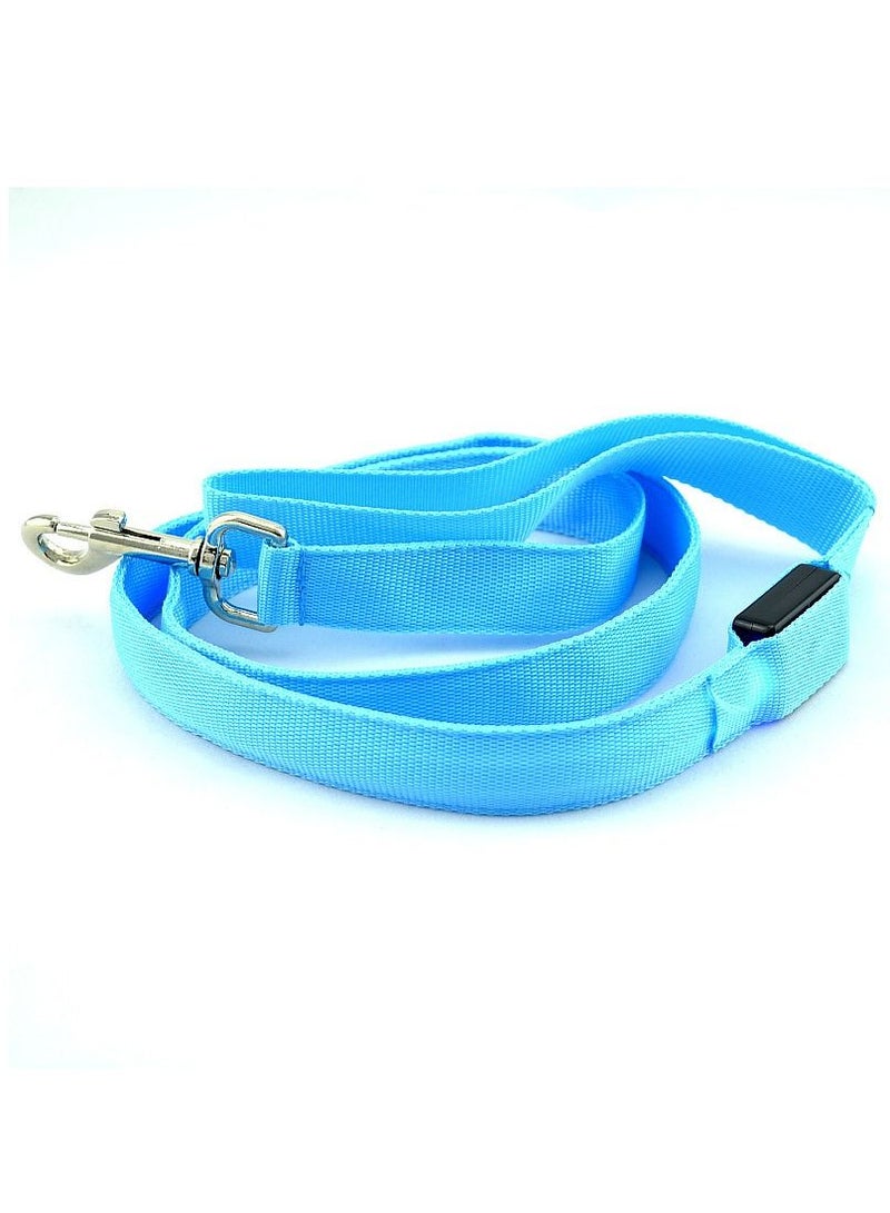 USB Rechargeable Flashing Pet Leash Blue Large - Image 1