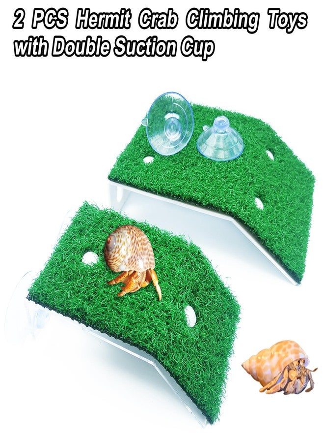 Anranmm 2 Pcs Hermit Crab Climbing Toys Simulation Grass Turtle Ramp Climb Ladder for Aquarium Terrarium Habitat Supplies Hermit Crab Cage Accessory Reptile Basking Platform for Amphibian Frogs Birds - Image 3