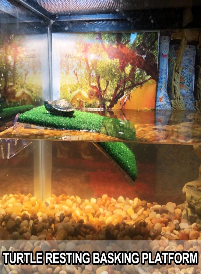 Anranmm 2 Pcs Hermit Crab Climbing Toys Simulation Grass Turtle Ramp Climb Ladder for Aquarium Terrarium Habitat Supplies Hermit Crab Cage Accessory Reptile Basking Platform for Amphibian Frogs Birds - Image 2