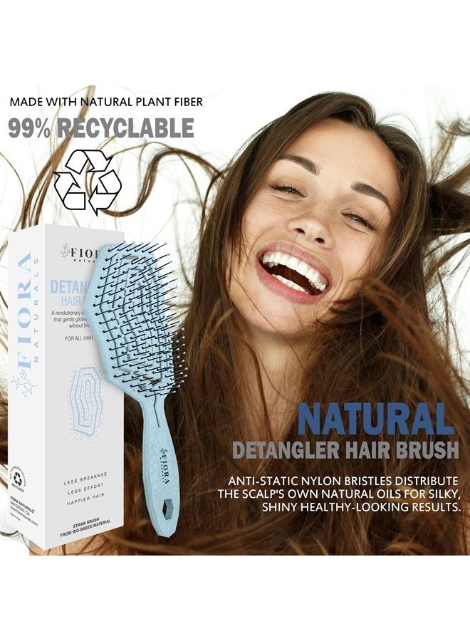 Fiora Naturals فرشاة فك تشابك الشعر - فرشاة شعر صديقة للبيئة 100% مع شعيرات فائقة النعومة - انزلق عبر التشابكات بسهولة - مناسبة للشعر المجعد، المستقيم، النساء، الرجال، الأطفال، الصغار، الشعر الرطب والجاف - Image 2