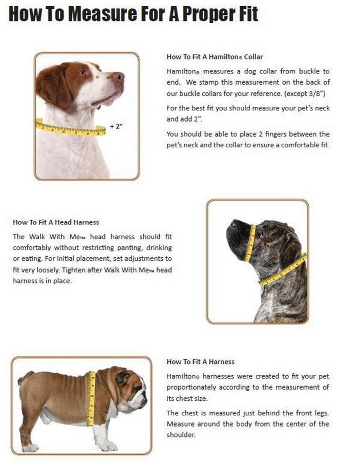 Hamilton Deluxe Double Thick Nylon Calf Collar, 1-3/4 by 36-Inch, Red - Image 2