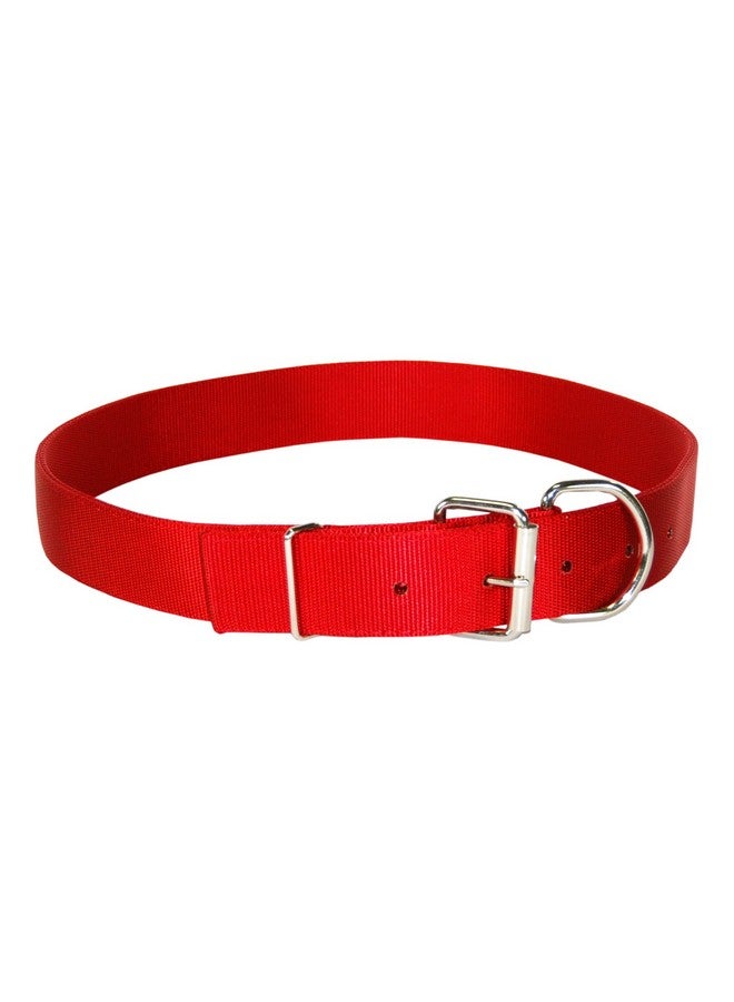Hamilton Deluxe Double Thick Nylon Calf Collar, 1-3/4 by 36-Inch, Red - Image 1