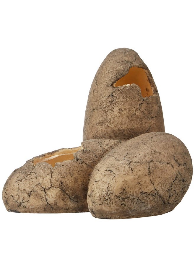 Exo Terra Exo Terra Dinosaur Egg Fossil Ornament  - Image 3