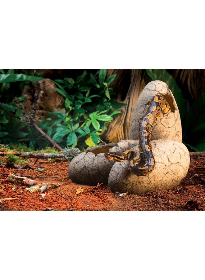 Exo Terra Exo Terra Dinosaur Egg Fossil Ornament  - Image 4