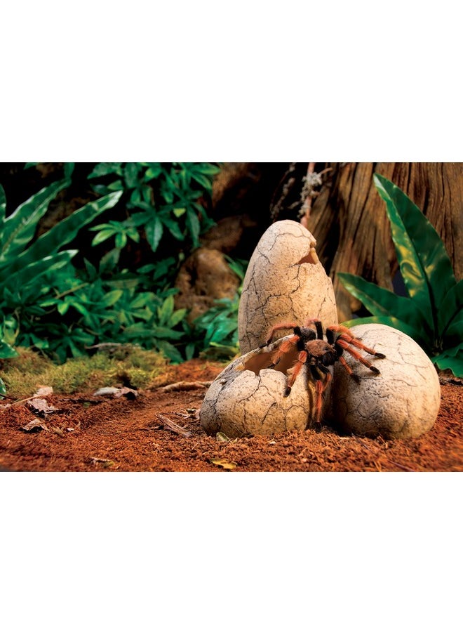 Exo Terra Exo Terra Dinosaur Egg Fossil Ornament  - Image 5