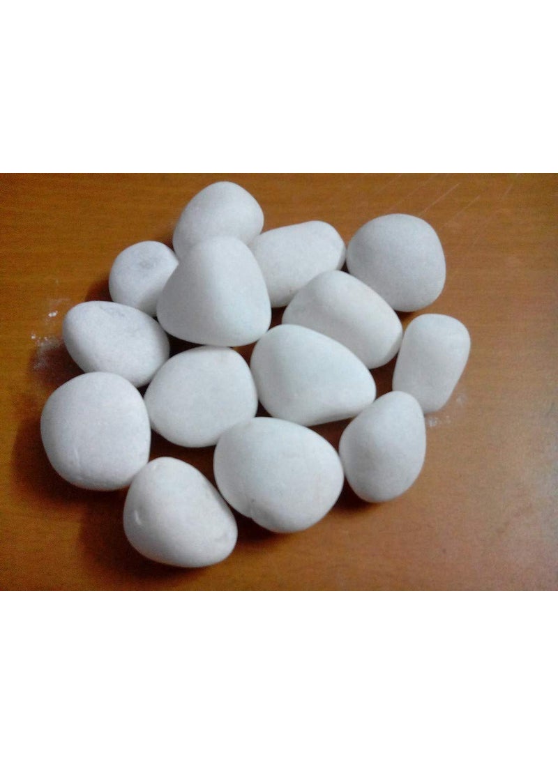 OhhSome OhhSome 1Kg Unpolished White Pebbles Matty Unpolished Home Decorative Vase Fillers Stone 1Kg  - Image 1
