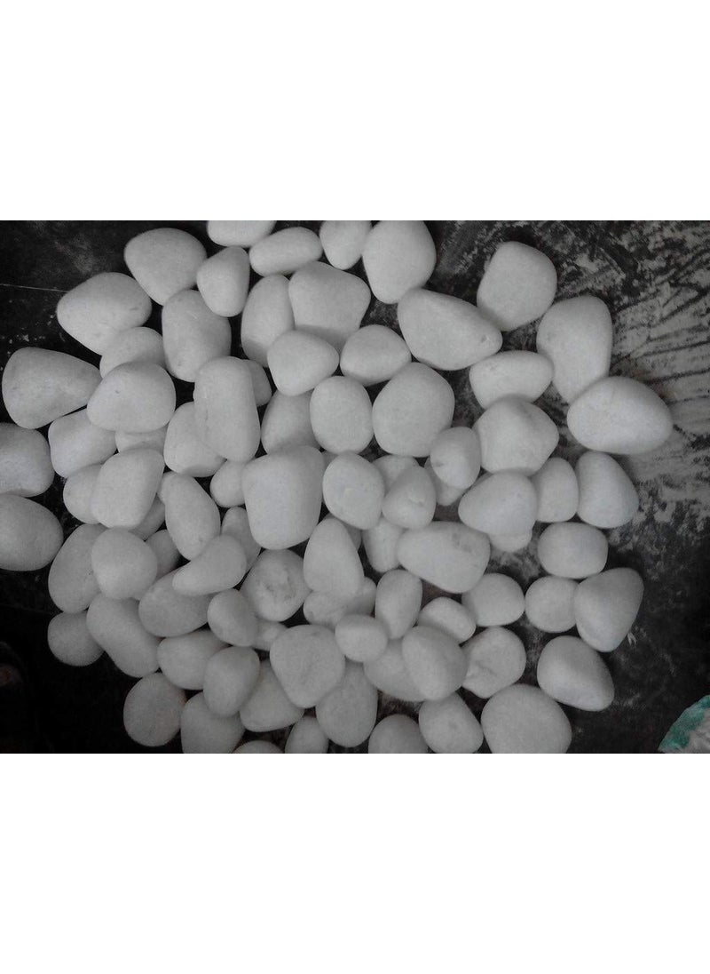 OhhSome OhhSome 1Kg Unpolished White Pebbles Matty Unpolished Home Decorative Vase Fillers Stone 1Kg  - Image 2