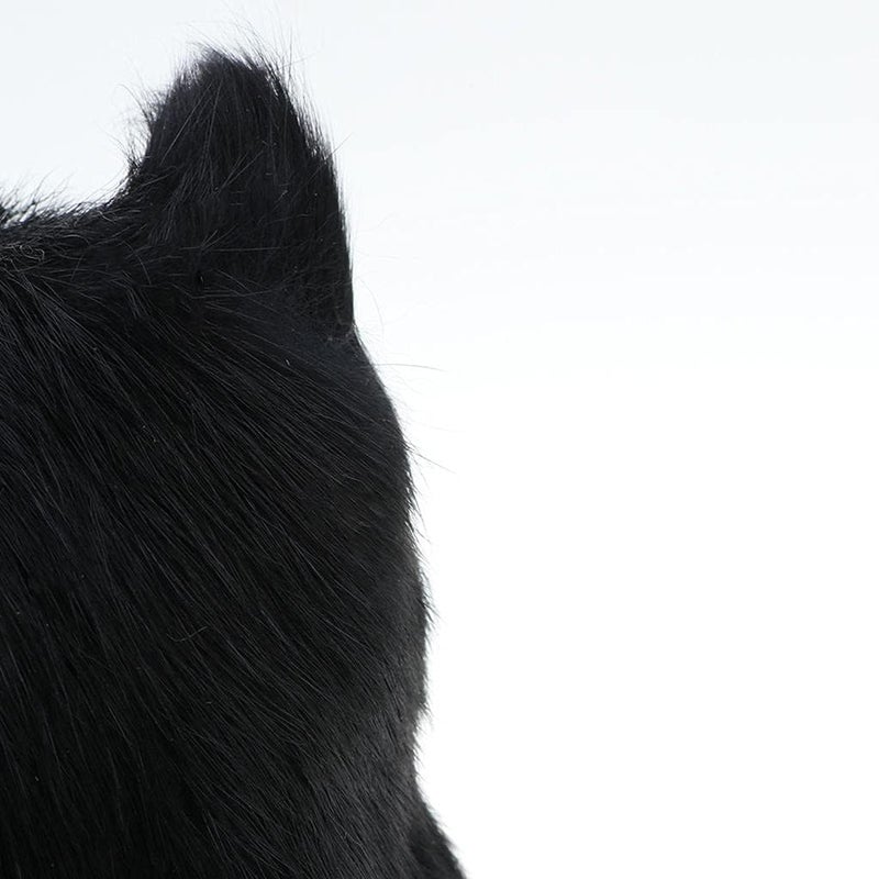 كلاراكو لعبة قطة محشوة جميلة، مجسم قطة واقعي، زينة منزلية للوحة القيادة في السيارة، هدية عيد ميلاد للأطفال، قطة سوداء، كما هو موضح - Image 4