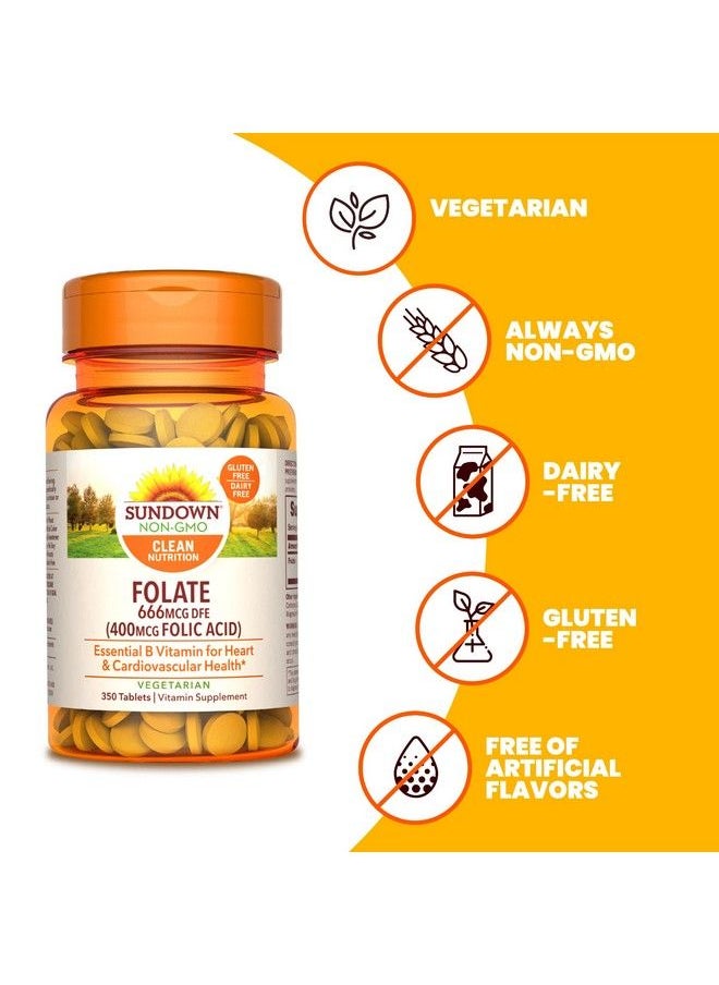 Sundown - Folic Acid 400 Mcg 350 Tablets (Packaging May Vary) - Image 1