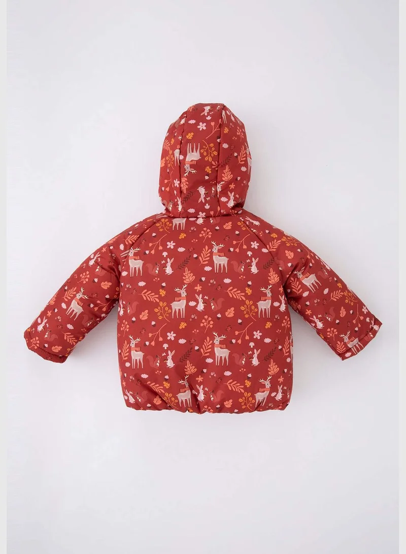 DeFacto BabyGirl Hooded Long Sleeve Jacket