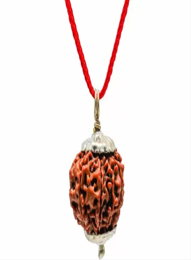 IRIS GEMS 9 موخي رودراكشا أصلي نيبالي معتمد 9 وجه رودراكشا 9 رئيسي رودراكشا نيبالي أوريجانال Nau Mukhi Rudraksha للنساء والرجال تسعة موخي رودراكشا مالا نو موكي رودراكشا فضي قلادة لا مختصرة रुद्राक्ष - Image 3