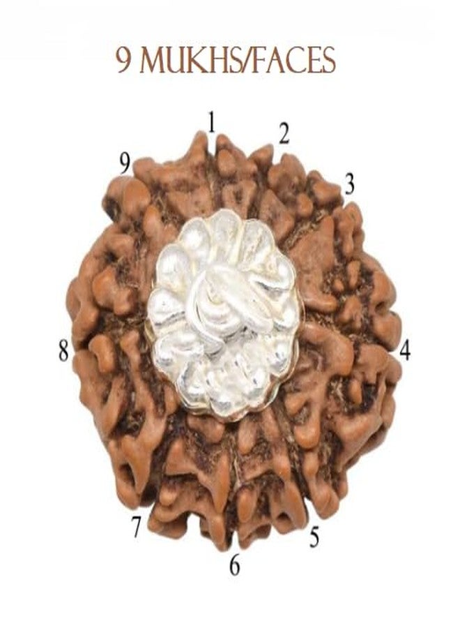 IRIS GEMS 9 موخي رودراكشا أصلي نيبالي معتمد 9 وجه رودراكشا 9 رئيسي رودراكشا نيبالي أوريجانال Nau Mukhi Rudraksha للنساء والرجال تسعة موخي رودراكشا مالا نو موكي رودراكشا فضي قلادة لا مختصرة रुद्राक्ष - Image 4