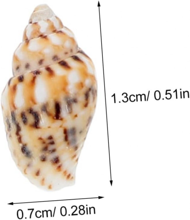 DECHOUS 50pcs Realistic Mini Seashells Bulk Pack for DIY Crafts Beach Themed Decor and Micro Landscapes - Image 2