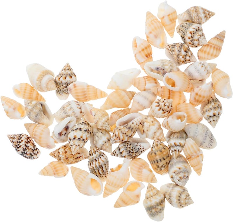 DECHOUS 50pcs Realistic Mini Seashells Bulk Pack for DIY Crafts Beach Themed Decor and Micro Landscapes - Image 1