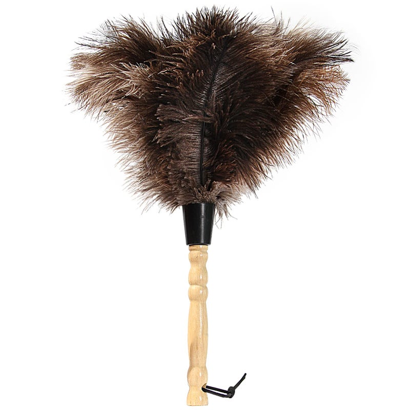 iHUFeather Ostrich Feather Duster 14 inch Feather Duster Fluffy Natural Genuine Ostrich Feathers with Wooden Handle and EcoFriendly Reusable Handheld Ostrich Feather Duster for Cleaning Supplies