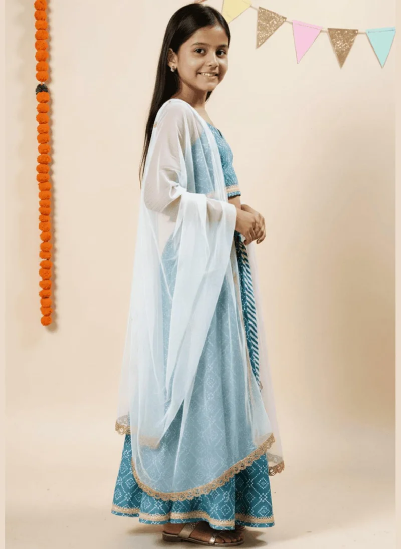 Nautinati  Nautinati Blue Festive Blouse and Lehenga Set for Girls for Women | Best Price UAE