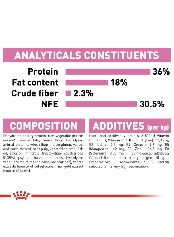 رويال كانين تغذية القطط الصحية للقطط الصغيرة 10 كجم - Image 3