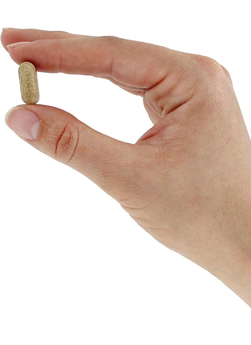 BioTechUSA Biotech Natural Curves 60 Tablets  - Image 4