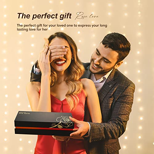 Anthonic Gold Dipped Infinity Rose Last Forever Flower Decor, Birthday Gift for Women in Her Birthday Mothers Day, Resin Preserved Rose | Anniversary Present for Mom (Pink) - Image 4