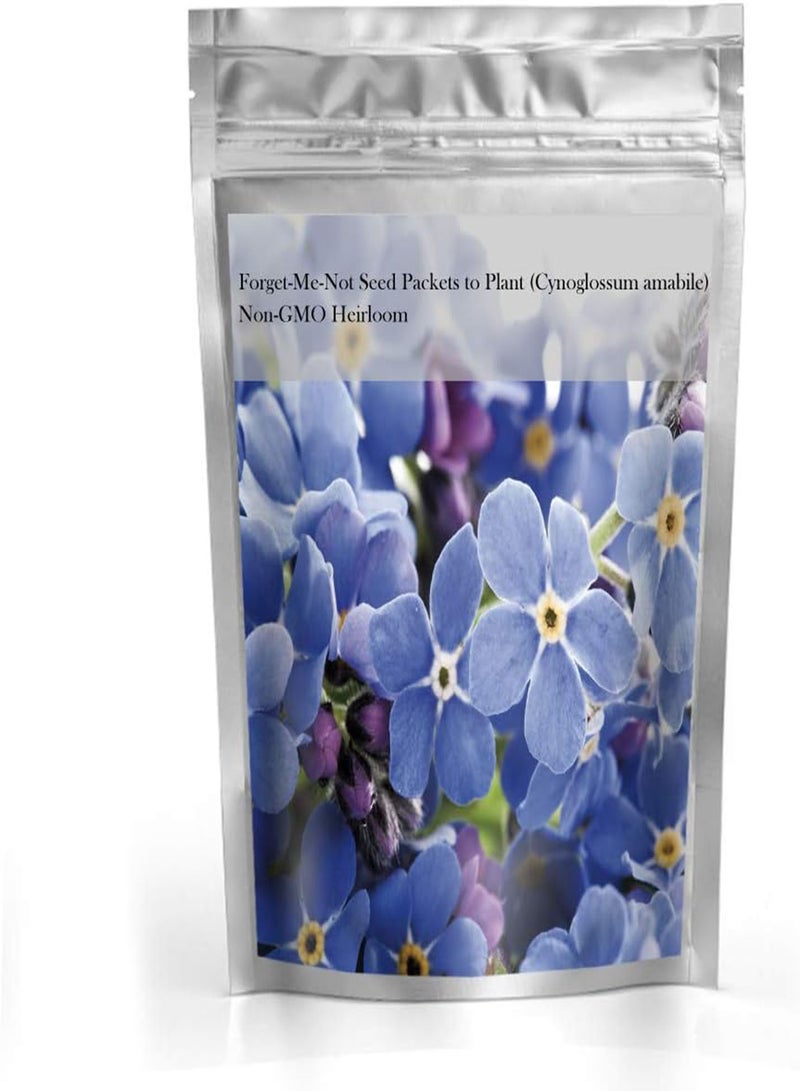 GGOOT Forget-Me-Not Packets to Plant Seed (Cynoglossum amabile) Non-GMO Heirloom - Image 3