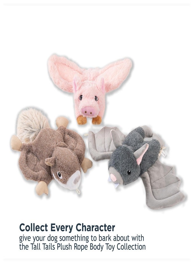 Tall Tails Fling and Fetch Plush Toy for Dogs, Squirrel - Image 5