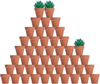 vensovo vensovo 48 Pcs Tiny Terracotta Pots - 2 inch Small Mini Clay Pots with Drainage Holes Flower Nursery Terra Cotta Pots  - Image 1