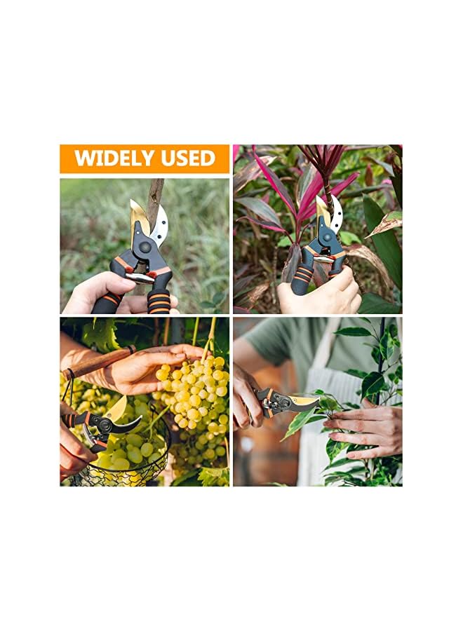 PROMASS مقص تقليم، 8.5" أدوات حديقة مهنية متميزة مع شفرة حادة من الفولاذ المقاوم للصدأ مقص حديقة لقص الزهور وتقليم النباتات - Image 5