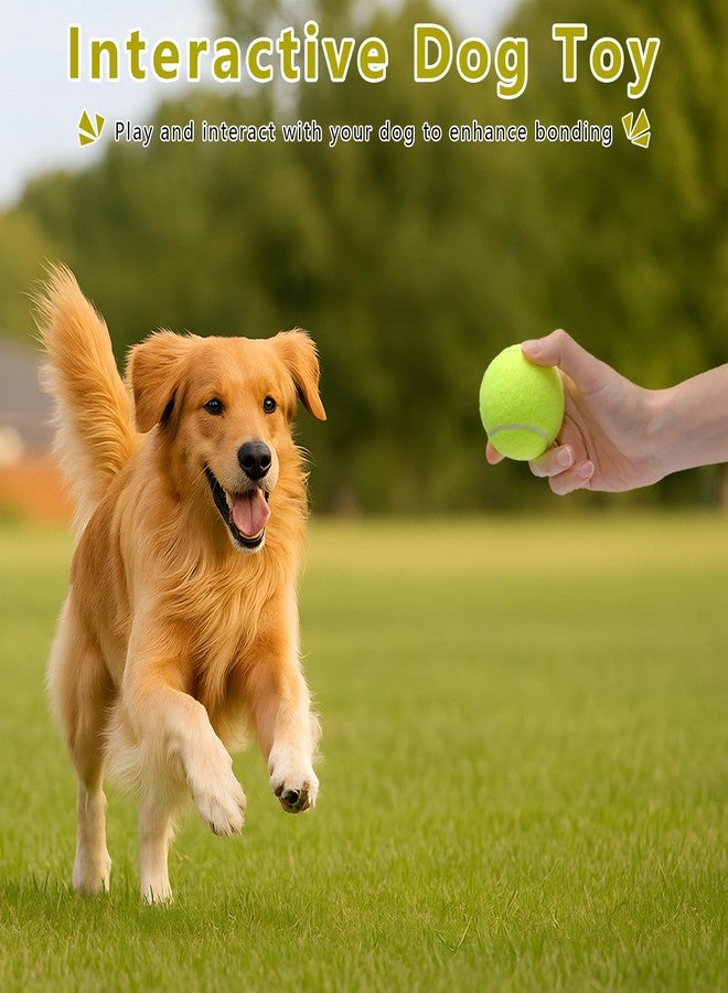 Magicorange كرات تنس صغيرة من ماجيك أورانج، عبوة من 20 كرة تنس مقاس 2 بوصة للكلاب، كرة لعب ملونة سهلة الإمساك مع حقيبة شبكية لسهولة النقل (متعددة الألوان، 2 بوصة) - Image 4