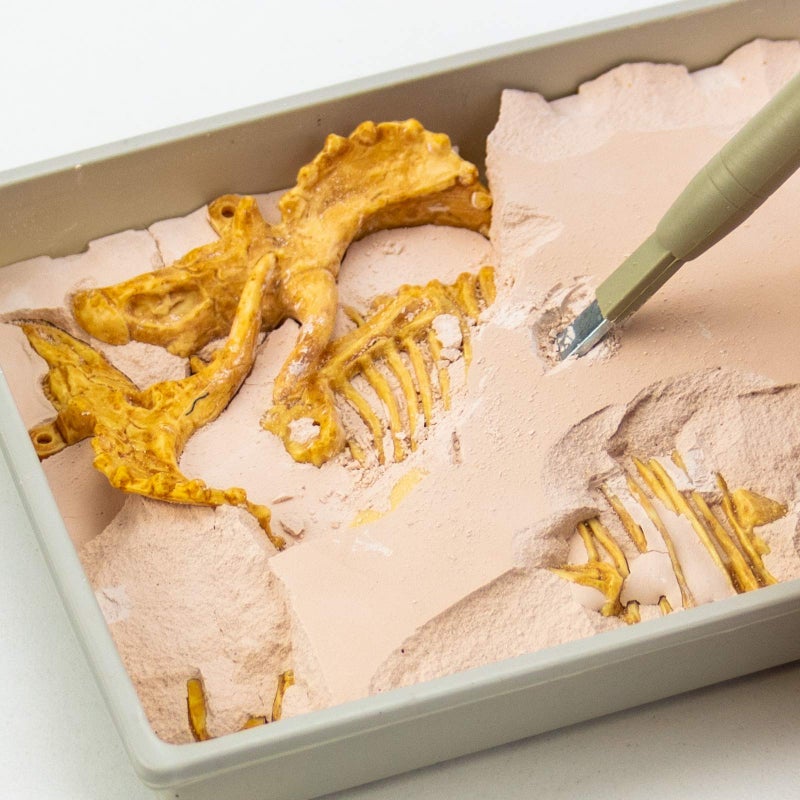 Science4you - Triceratops Fossil Digging Kit for Kids - Excavate and Assemble 10 Dinosaur Fossiles, Dinosaur Toys for Boys and Girls Age 6+, Dino Games, Dinosaur Gifts for 6+ Year Old Boys and Girls - Image 3
