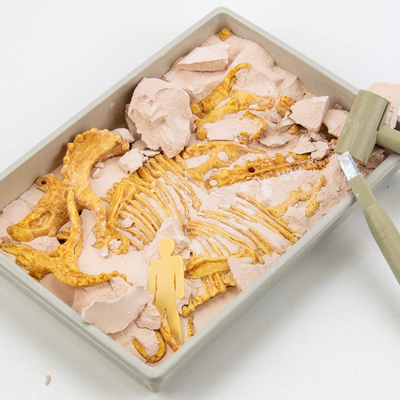 Science4you - Triceratops Fossil Digging Kit for Kids - Excavate and Assemble 10 Dinosaur Fossiles, Dinosaur Toys for Boys and Girls Age 6+, Dino Games, Dinosaur Gifts for 6+ Year Old Boys and Girls - Image 4