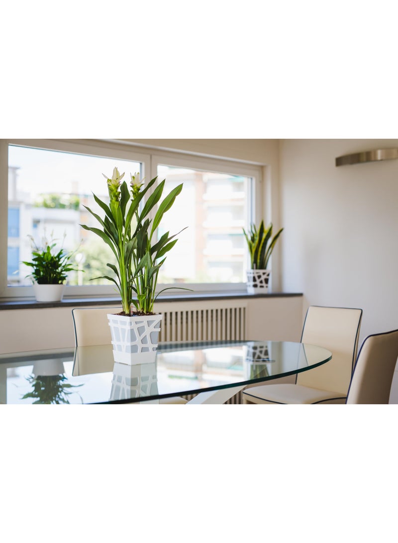 أيدل وعاء زهور بلاستيكي مزخرف كوادرو 17 - مزرعة ذاتية السقي للداخل والخارج للمنزل، والشرفة، والحديقة، والمكتب - ألوان متعددة - صنع في إيطاليا - بواسطة إيديل - Image 3