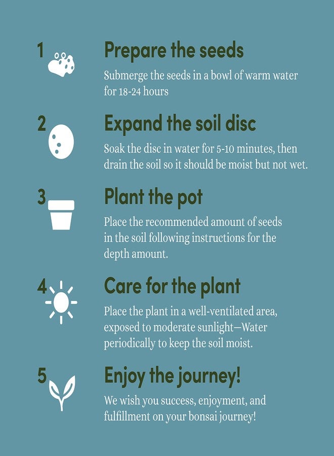 Planters' Choice Bonsai Starter Kit - Gardening Easter Gift for Women & Men - Bonsai Tree Growing Garden Crafts Hobby Kits for Adults, Unique DIY Hobbies for Plant Lovers - Unusual Christmas Gifts Ideas - Image 5