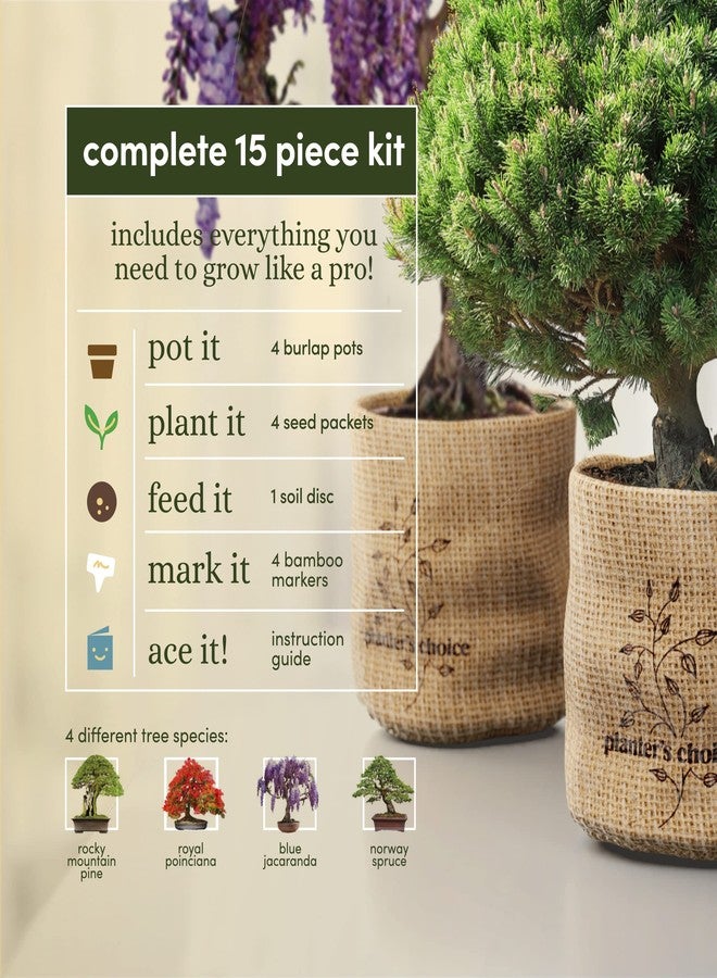 Planters' Choice Bonsai Starter Kit - Gardening Easter Gift for Women & Men - Bonsai Tree Growing Garden Crafts Hobby Kits for Adults, Unique DIY Hobbies for Plant Lovers - Unusual Christmas Gifts Ideas - Image 3