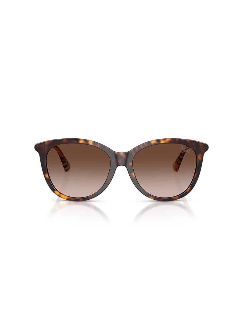 بربري نظارات شمسية من بربري فانتوس - Image 2