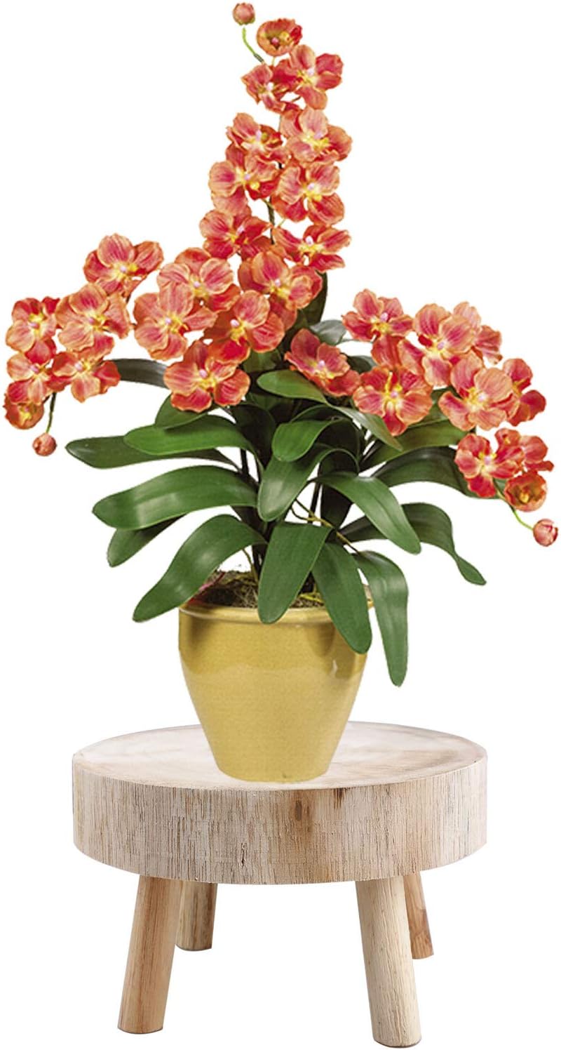 YUIOP Mini Wooden Stool Display Stand Modern Plant Stand, Flower Pot Holder Potted Rack Planter Supports Decorative Plant Holder Indoor Outdoor for Home, Garden, Patio(NOT POTS) - Image 2